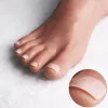 ヌードカラー