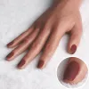 レッド