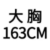 163大胸